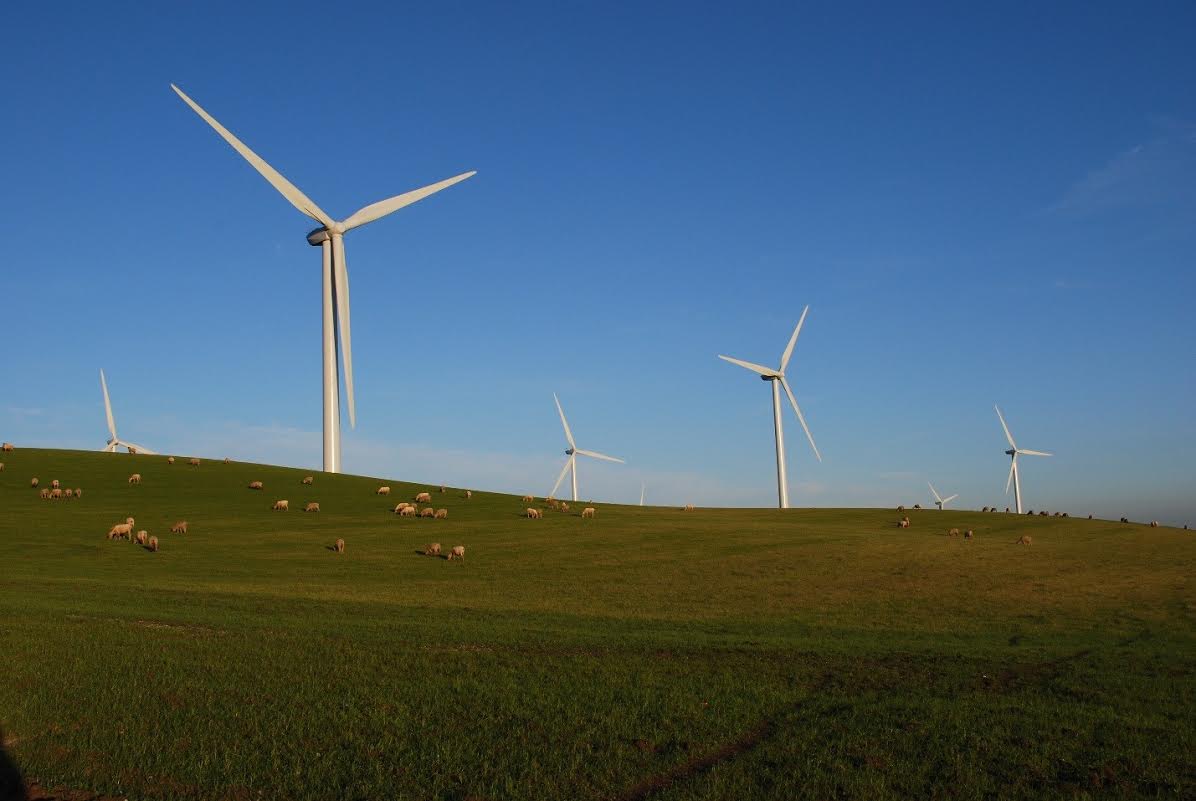 Shiloh II Wind - EDF power solutions North America