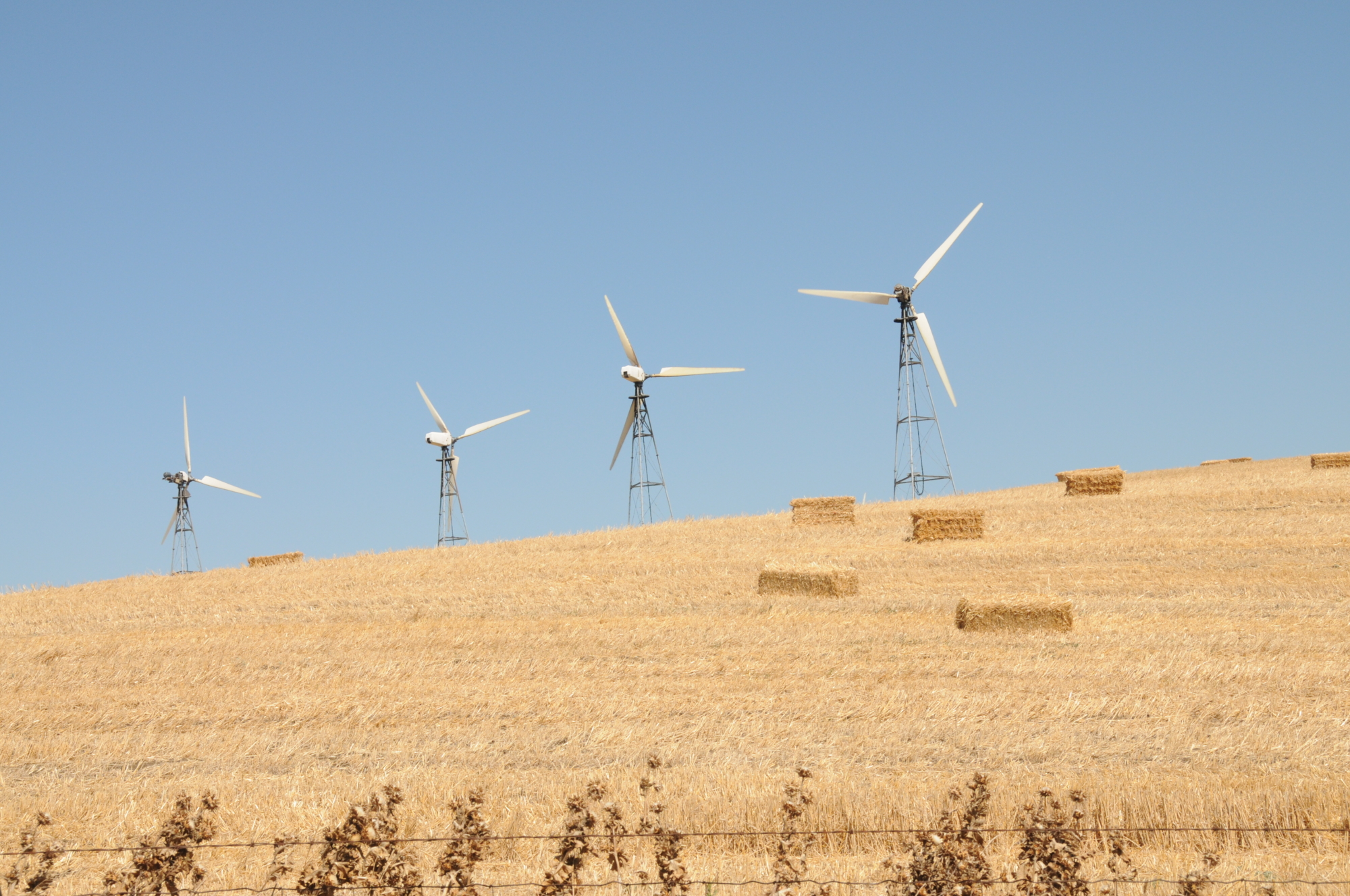 Shiloh III Wind - EDF power solutions North America