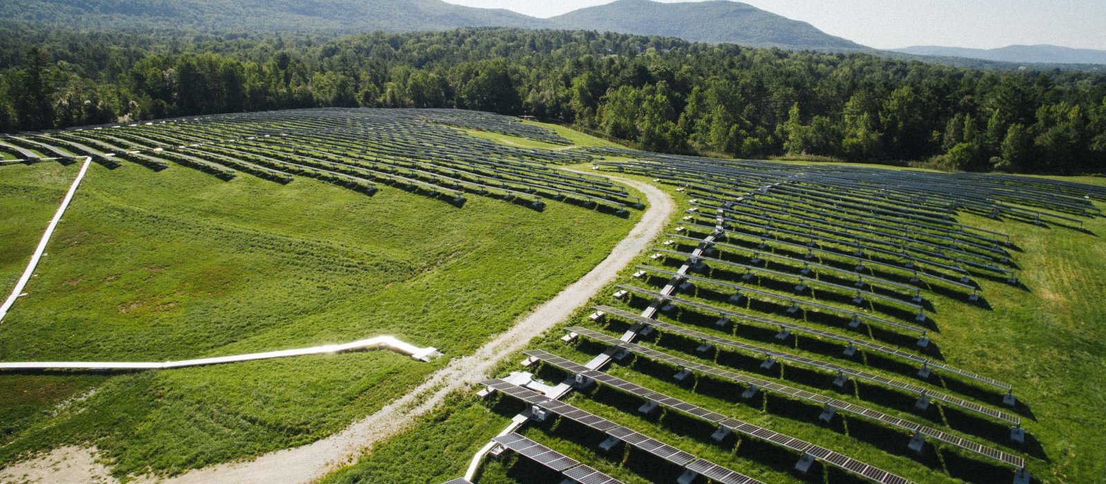 Stafford Hill Solar Farm EDF Renewables
