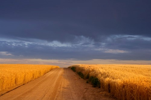 alexander-wind-1
